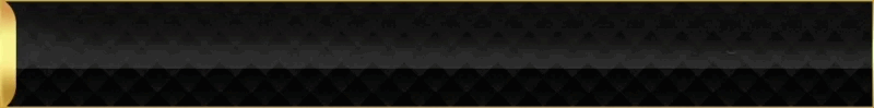 Banner 7